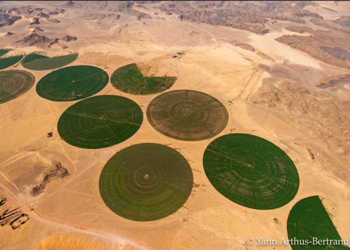 Futurisztikus ökofarm a sivatagban 